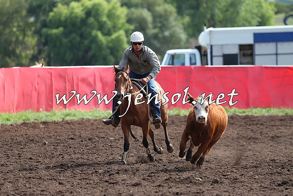 NimmitabelCampdraft2015_1141