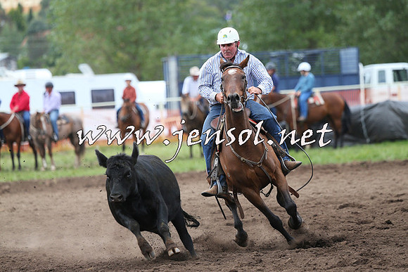 NimmitabelCampdraft2015_1701