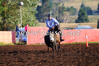 NimmitabelCampdraft2015_1005