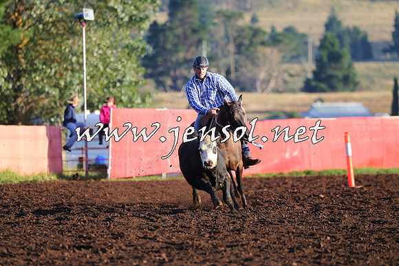 NimmitabelCampdraft2015_1005