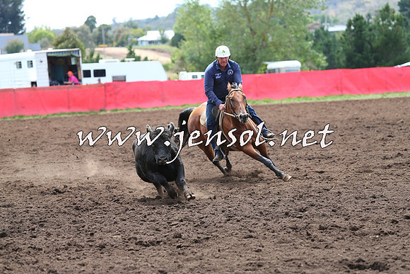 NimmitabelCampdraft2015_1300