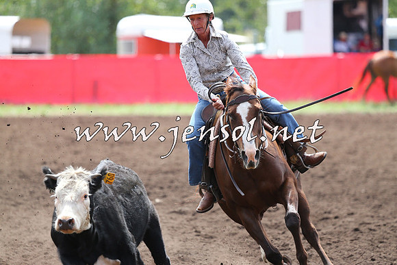 NimmitabelCampdraft2015_1249