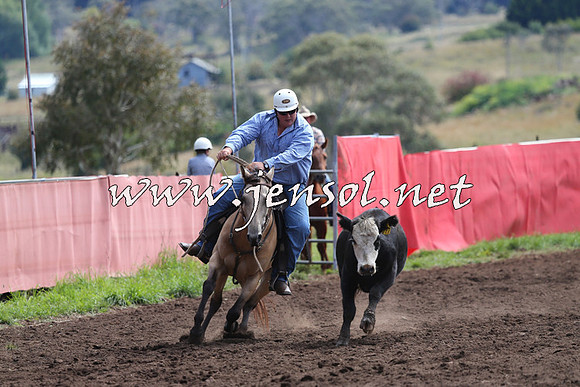 NimmitabelCampdraft2015_1199