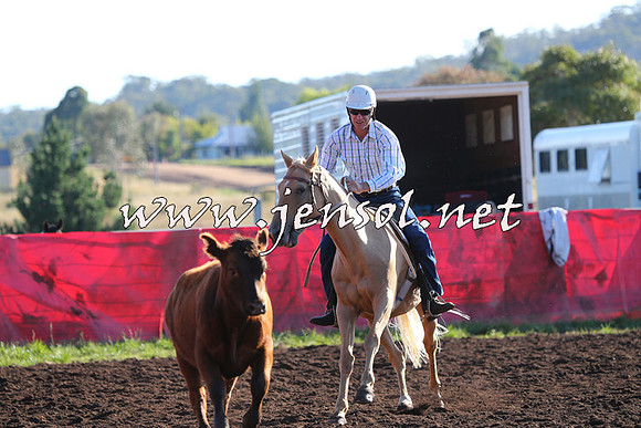 NimmitabelCampdraft2015_1073