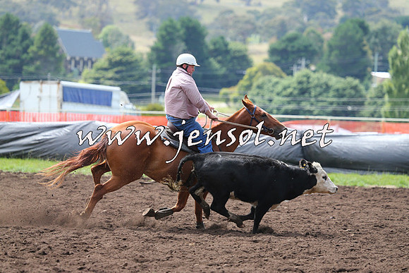 NimmitabelCampdraft2015_1241