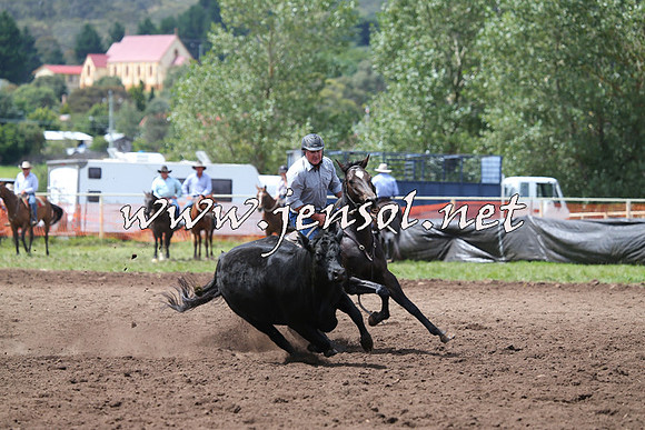 NimmitabelCampdraft2015_1499