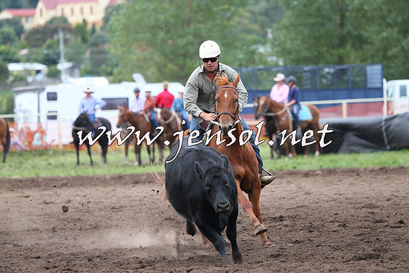 NimmitabelCampdraft2015_1669