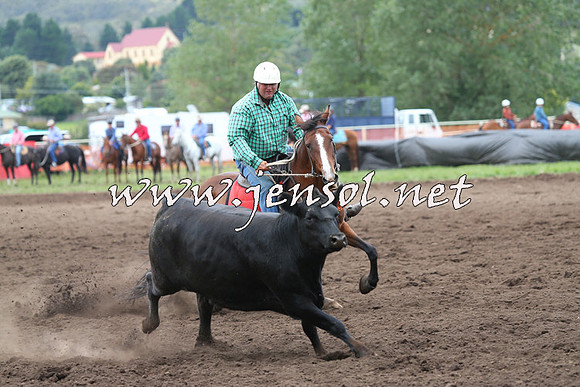 NimmitabelCampdraft2015_1684