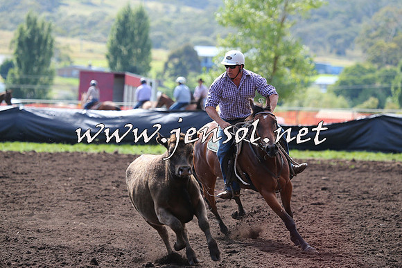 NimmitabelCampdraft2015_1107