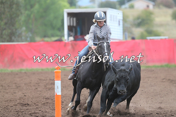 NimmitabelCampdraft2015_1635