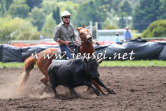 NimmitabelCampdraft2015_1172