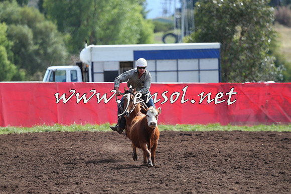NimmitabelCampdraft2015_1139