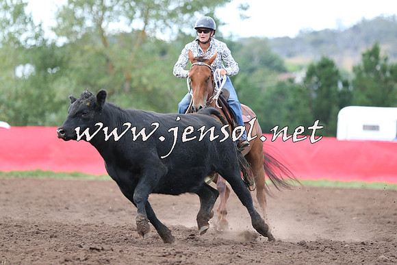 NimmitabelCampdraft2015_1529