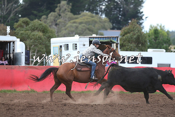 NimmitabelCampdraft2015_1549