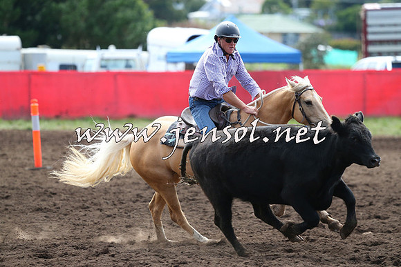 NimmitabelCampdraft2015_1229