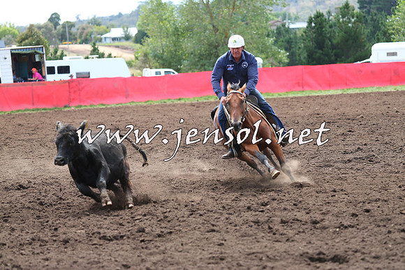NimmitabelCampdraft2015_1294