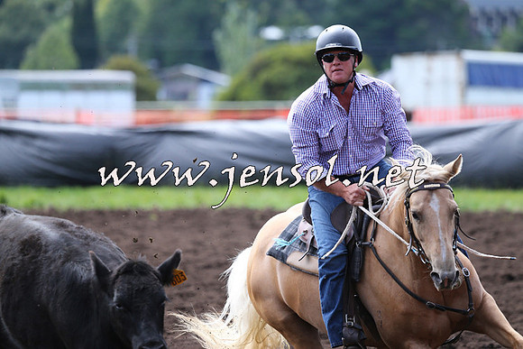 NimmitabelCampdraft2015_1233