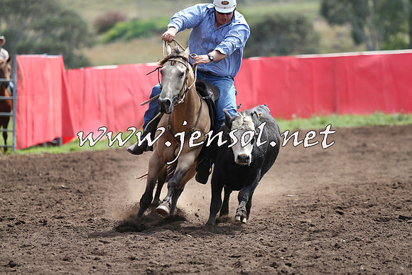 NimmitabelCampdraft2015_1201