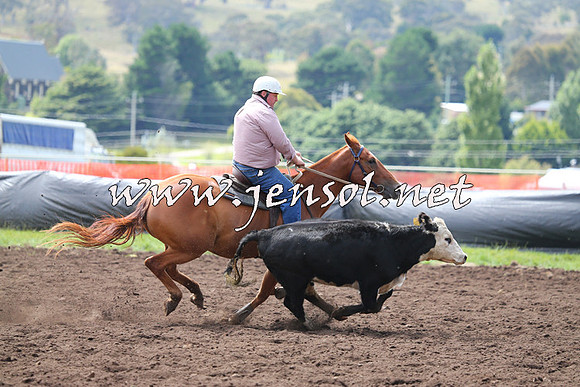 NimmitabelCampdraft2015_1240