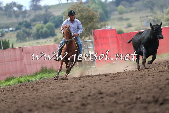 NimmitabelCampdraft2015_1599