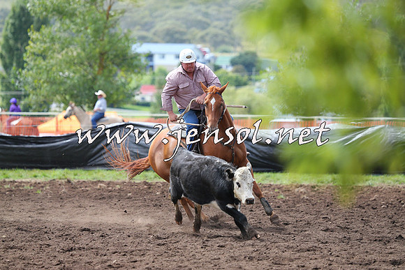NimmitabelCampdraft2015_1243