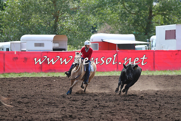 NimmitabelCampdraft2015_1159