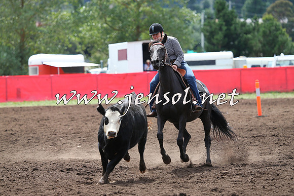 NimmitabelCampdraft2015_1278