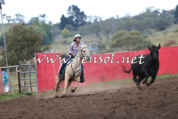 NimmitabelCampdraft2015_1553