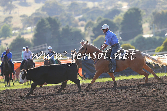 NimmitabelCampdraft2015_1088