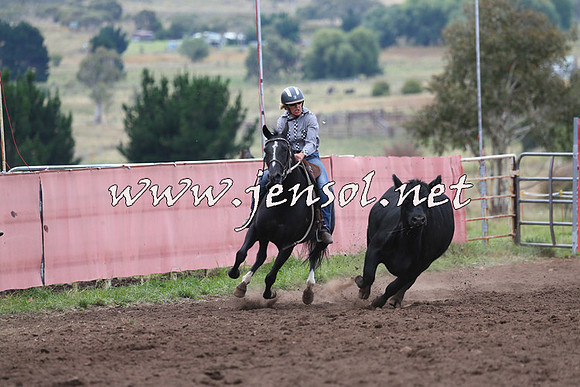 NimmitabelCampdraft2015_1607