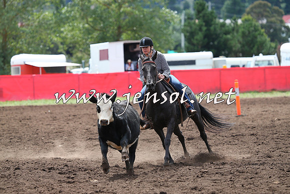 NimmitabelCampdraft2015_1277