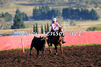 NimmitabelCampdraft2015_1029