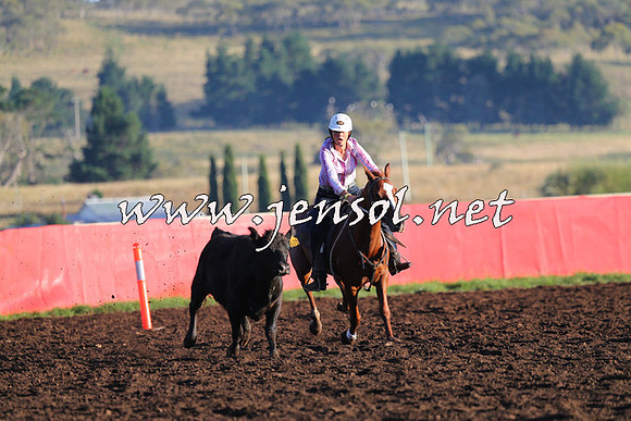 NimmitabelCampdraft2015_1029