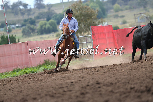 NimmitabelCampdraft2015_1598