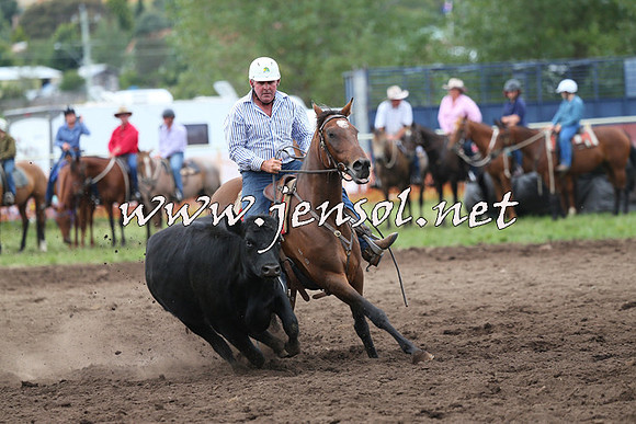 NimmitabelCampdraft2015_1698