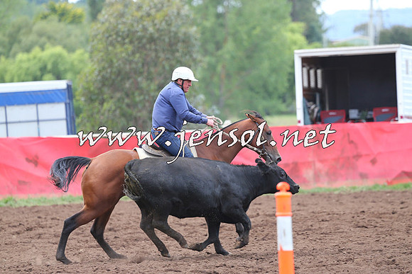 NimmitabelCampdraft2015_1651
