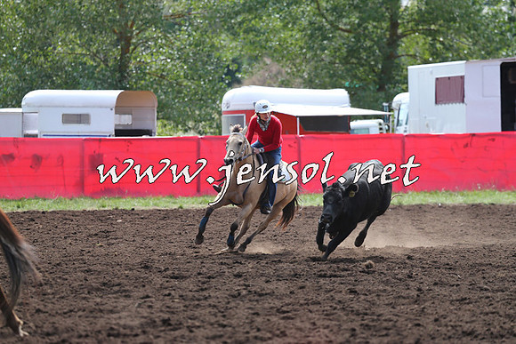 NimmitabelCampdraft2015_1157