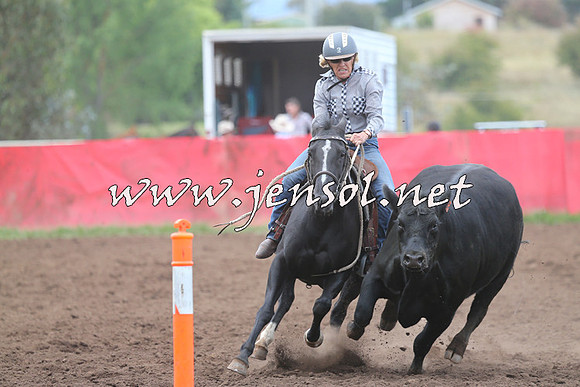 NimmitabelCampdraft2015_1639