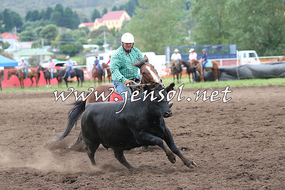 NimmitabelCampdraft2015_1685