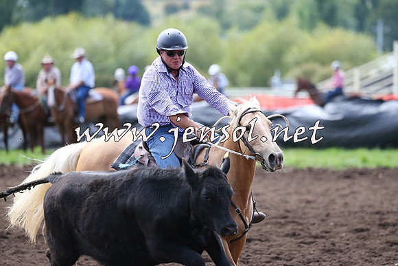 NimmitabelCampdraft2015_1236