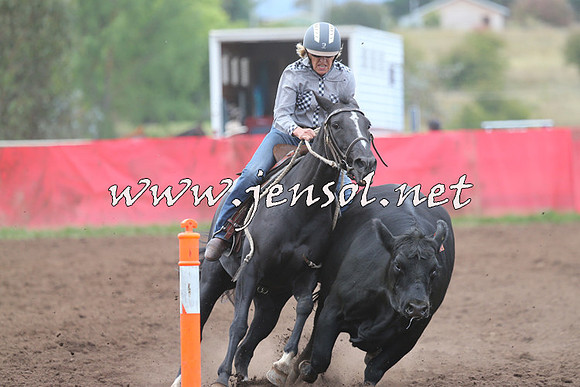 NimmitabelCampdraft2015_1636