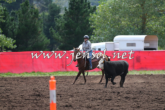 NimmitabelCampdraft2015_1190