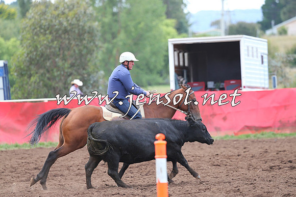 NimmitabelCampdraft2015_1649