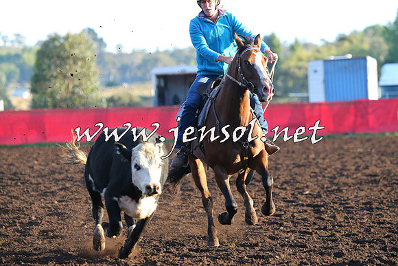 NimmitabelCampdraft2015_1004