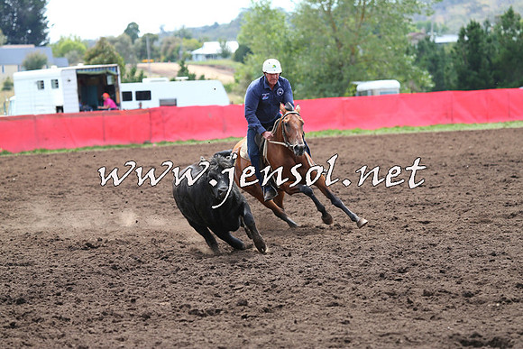 NimmitabelCampdraft2015_1298