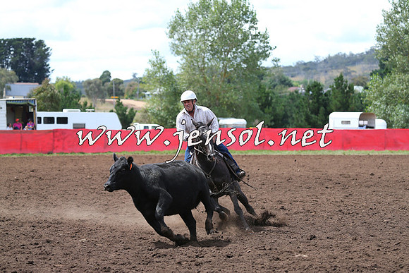 NimmitabelCampdraft2015_1502