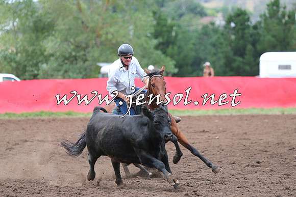 NimmitabelCampdraft2015_1647