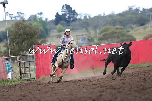 NimmitabelCampdraft2015_1555