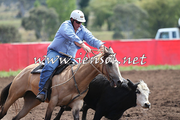 NimmitabelCampdraft2015_1212