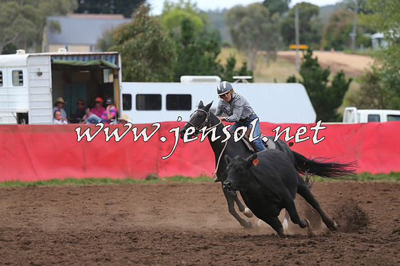 NimmitabelCampdraft2015_1628